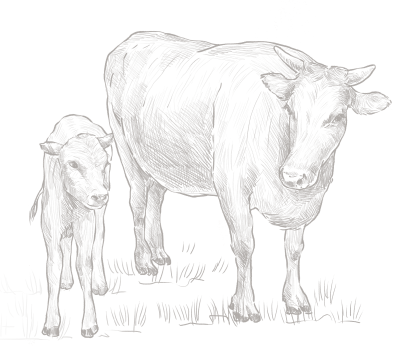 fullDivision_counter_rightBack